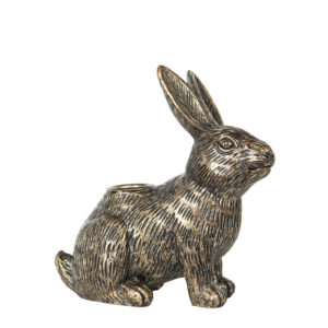 Ljusstake hare