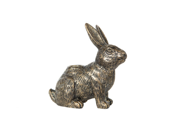 Ljusstake hare