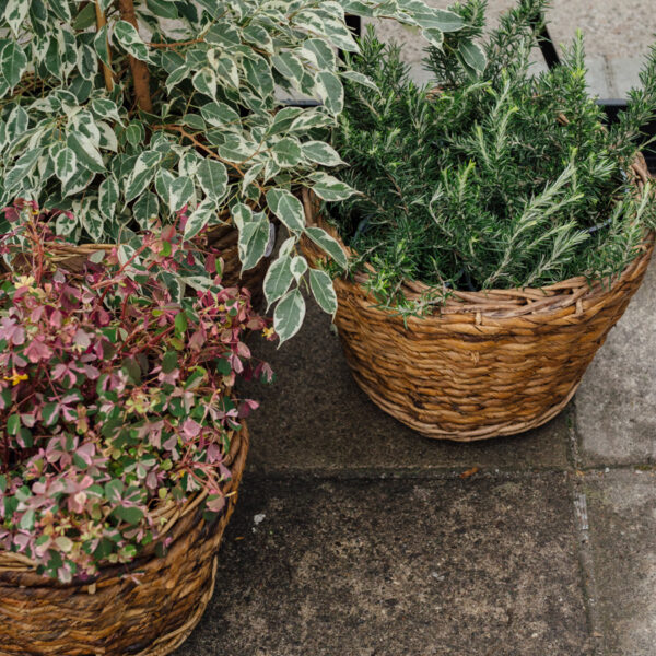 Abaca large pot - Bild 3