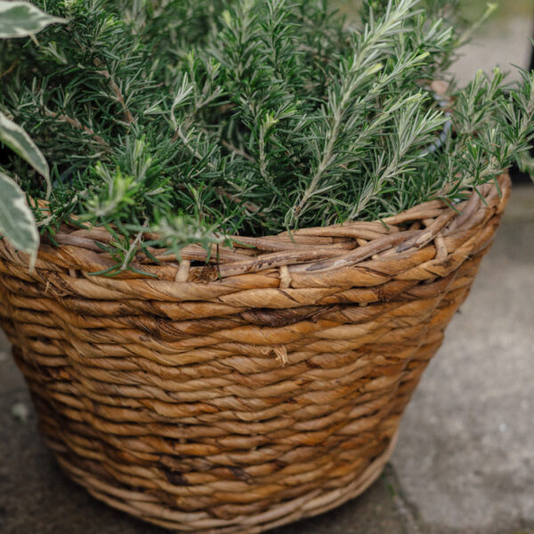 Abaca large pot - Bild 2