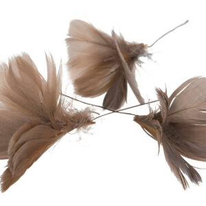 Fjäder Trådad Blom