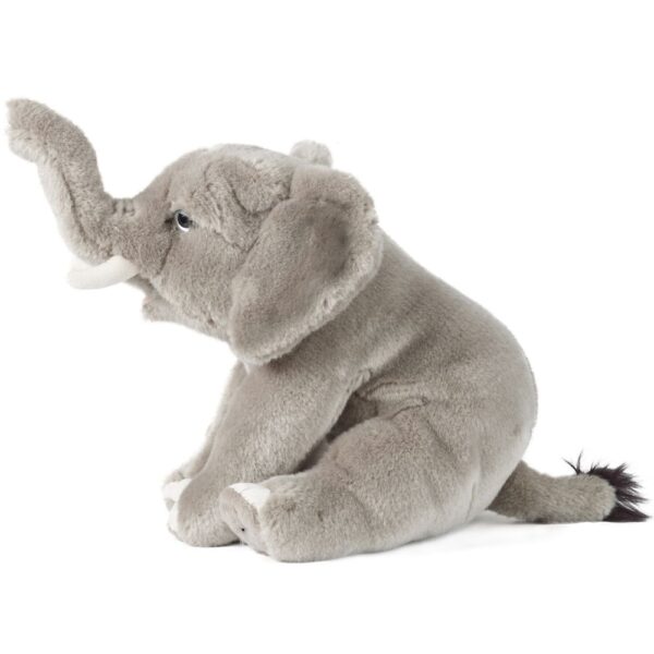 Elefant - Bild 2