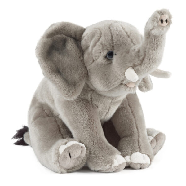 Elefant