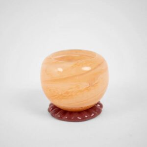 Cosmos ljuslykta persika