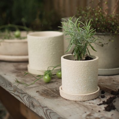 Grow Pot Large - creme structure - Bild 6
