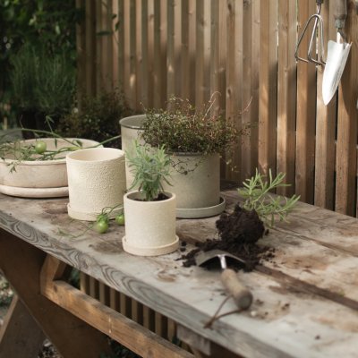Grow Pot Large - creme structure - Bild 5