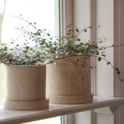 Grow Pot Large - creme structure - Bild 3